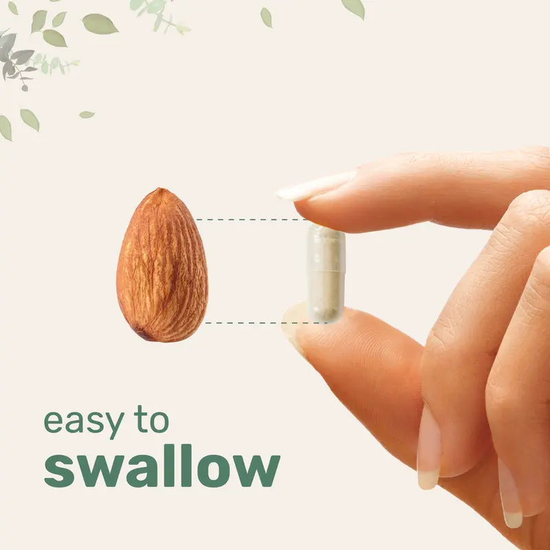 Ultra Strength Lion's Mane+ (4 Month Supply)